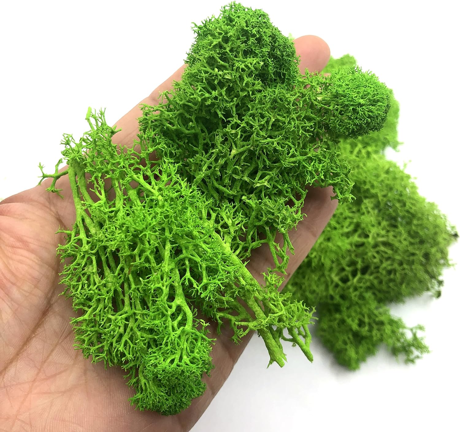 Sphagnum Moss Dry - 200 グラム人工緑の植物ミニ風景永遠の生活苔草偽の草庭のリビングルームの家の装飾 DIY 工芸品