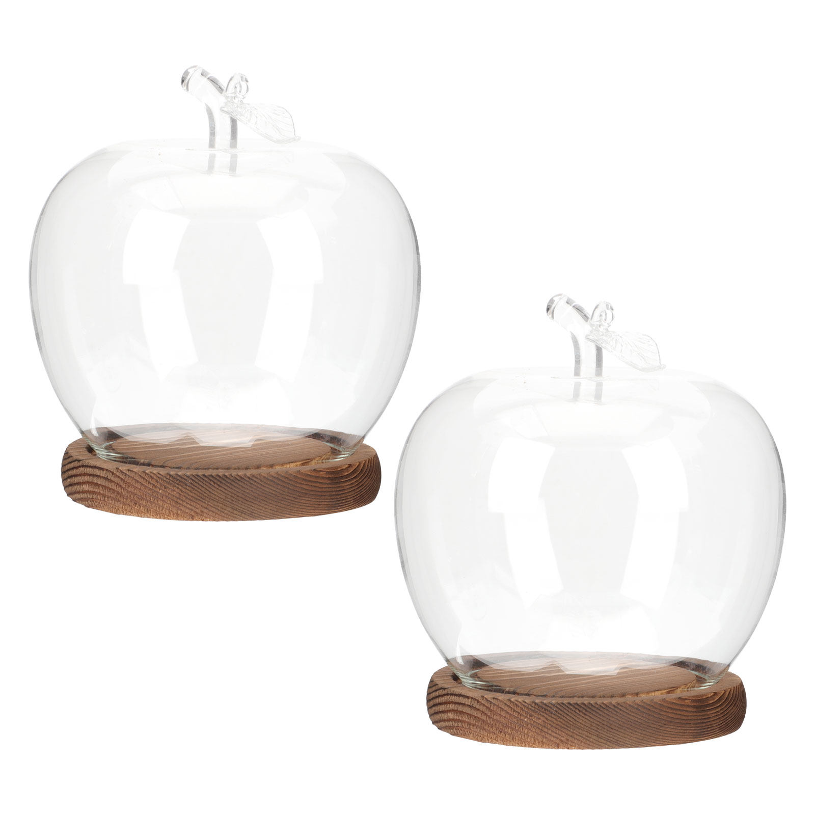 Plastic Dome Clear - 2個セット ガラス製クローシェドーム 木製ベース付き 透明ディスプレイカバー コレクション、植物、花、工芸品用 ガラス製ショーケース