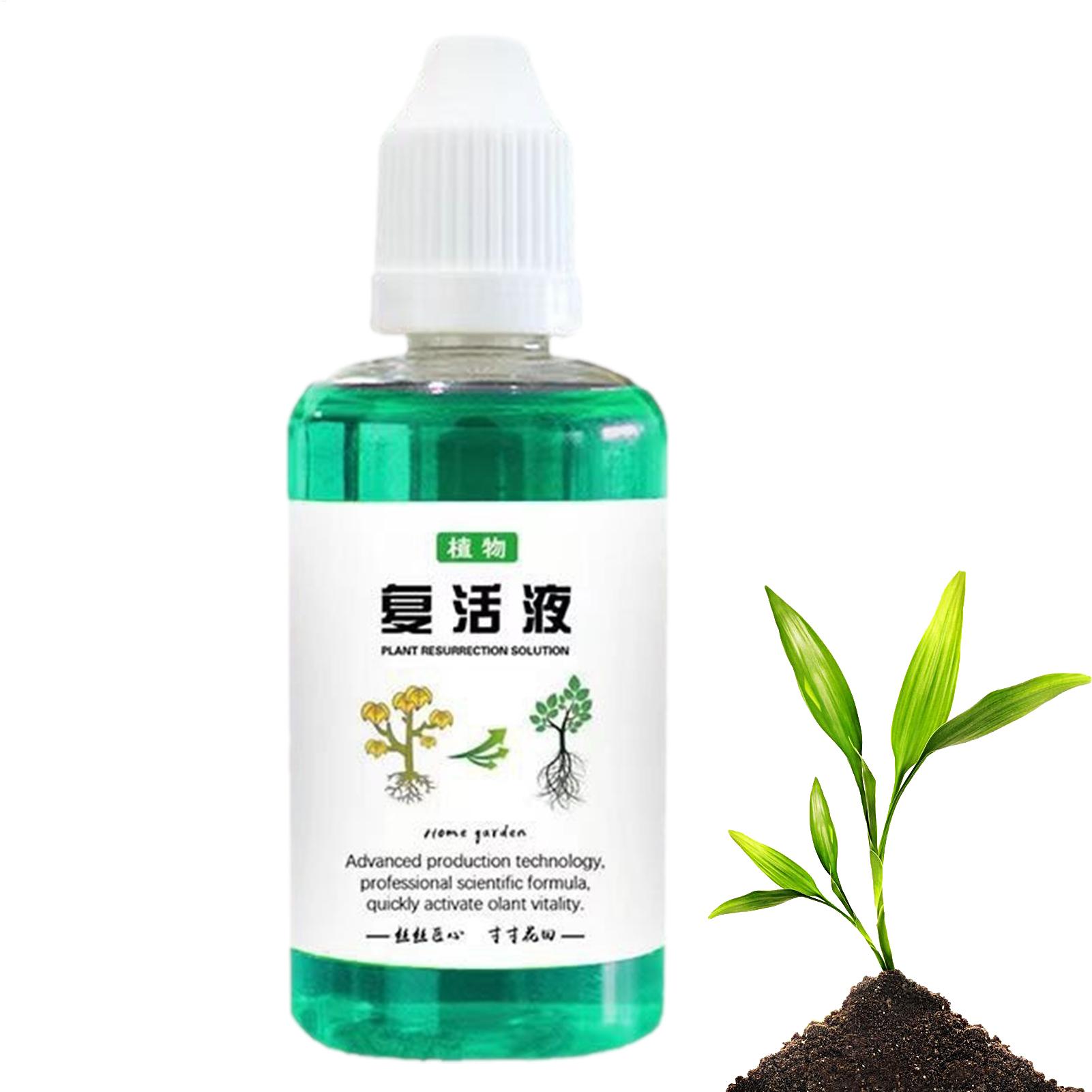 50ml 根刺激剤 植物復活液 野菜肥料 根ブースター 果実 - Root Stimulator Liquid のレビューと価格