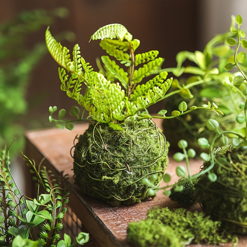 人工モスボールプランター、天然グリーン盆栽植物容器、家庭菜園 - Sphagnum Moss Dry のレビューと価格