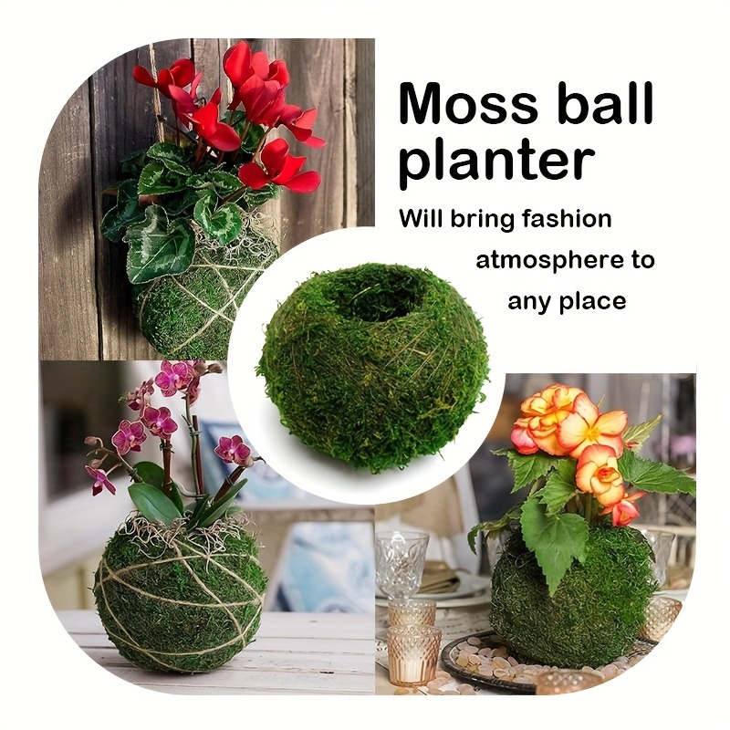 人工モスボールプランター、天然グリーン盆栽植物容器、家庭菜園 - Sphagnum Moss Dry のレビューと価格