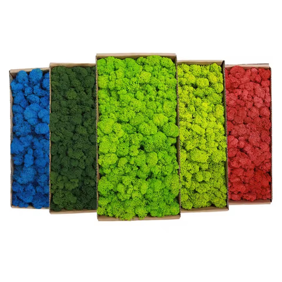 20-200 グラム人工緑植物ポリエステル苔草ミニ風景造花  - Sphagnum Moss Dry のレビューと価格