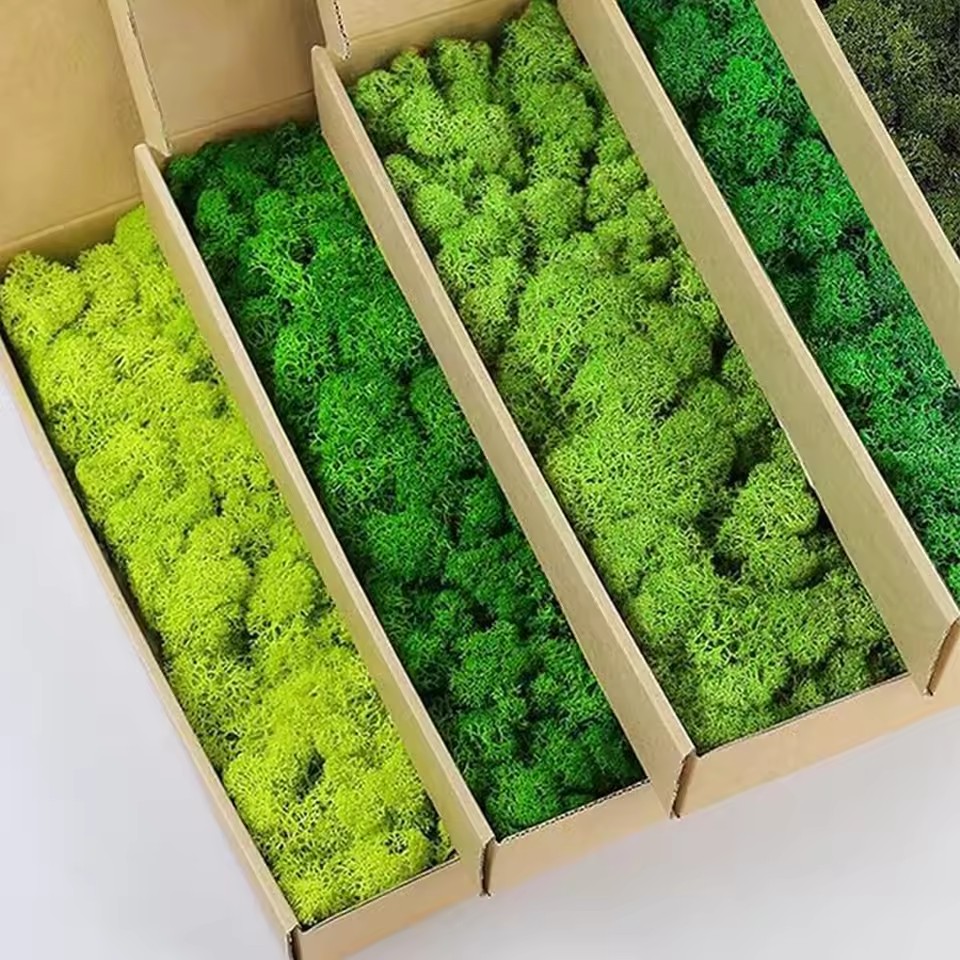 20-200 グラム人工緑植物ポリエステル苔草ミニ風景造花  - Sphagnum Moss Dry のレビューと価格