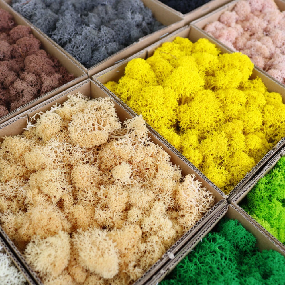 人工緑の植物ミニ風景永遠の生活苔草フェイクグラス DIY 工 - Sphagnum Moss Dry のレビューと価格