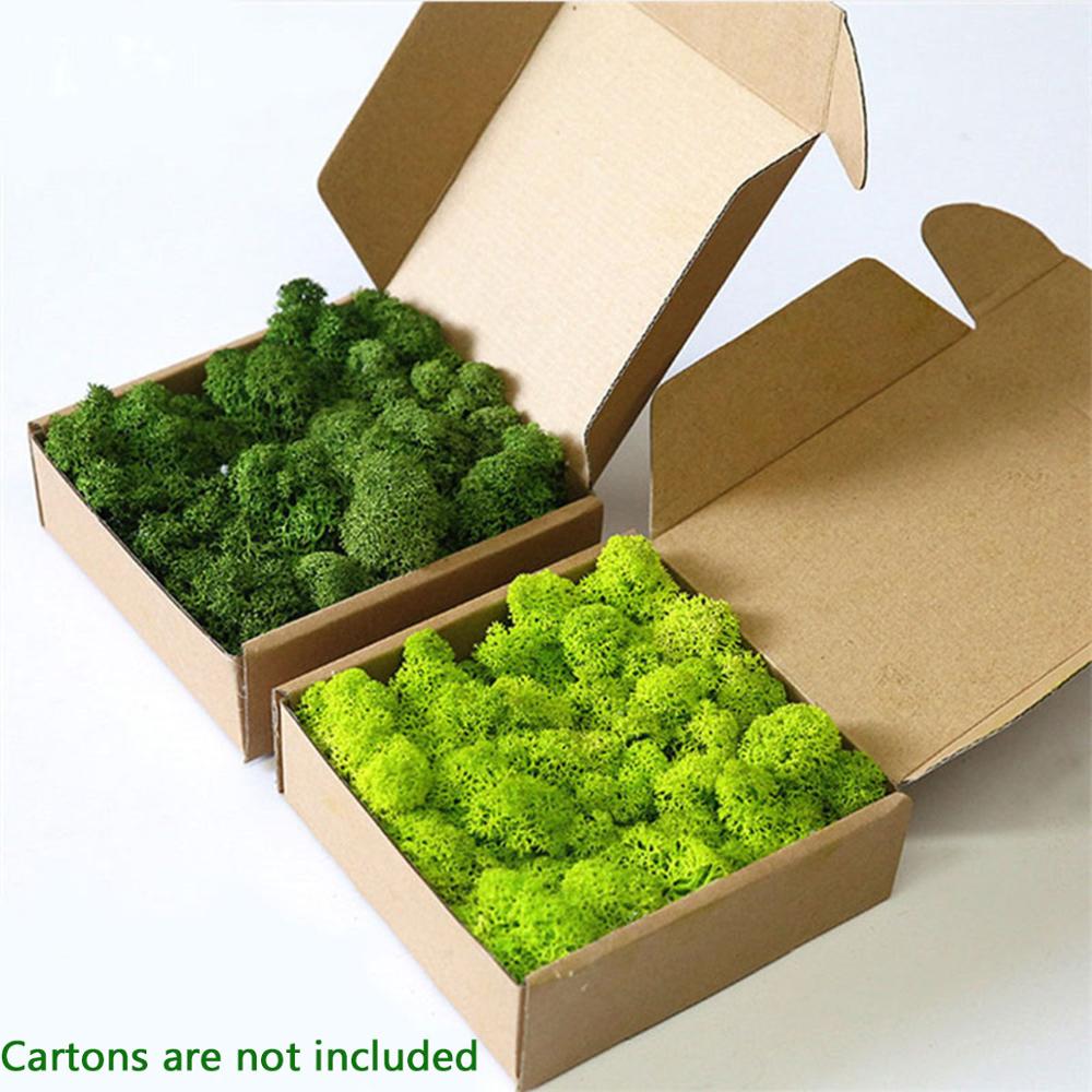 人工植物永遠の命モスガーデンクリスマス装飾壁 Diy フラワ - Sphagnum Moss Dry のレビューと価格