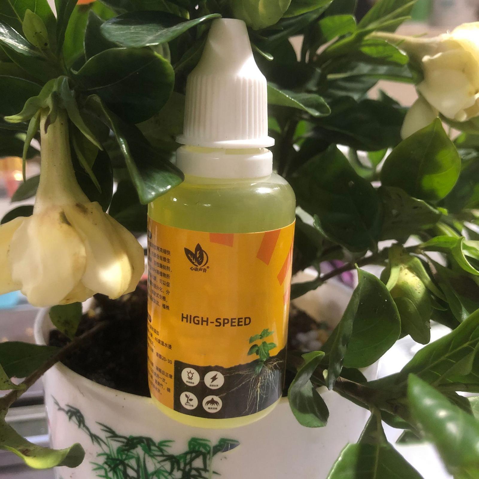 50 ミリリットル植物発根刺激剤液体植物根ブースター液体急速 - Root Stimulator Liquid のレビューと価格