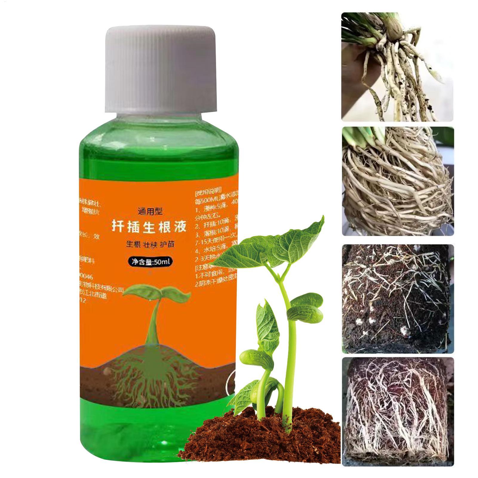 50ml移植栄養液 植物急速発根液 根刺激剤 切り花用 バラ - Root Stimulator Liquid のレビューと価格