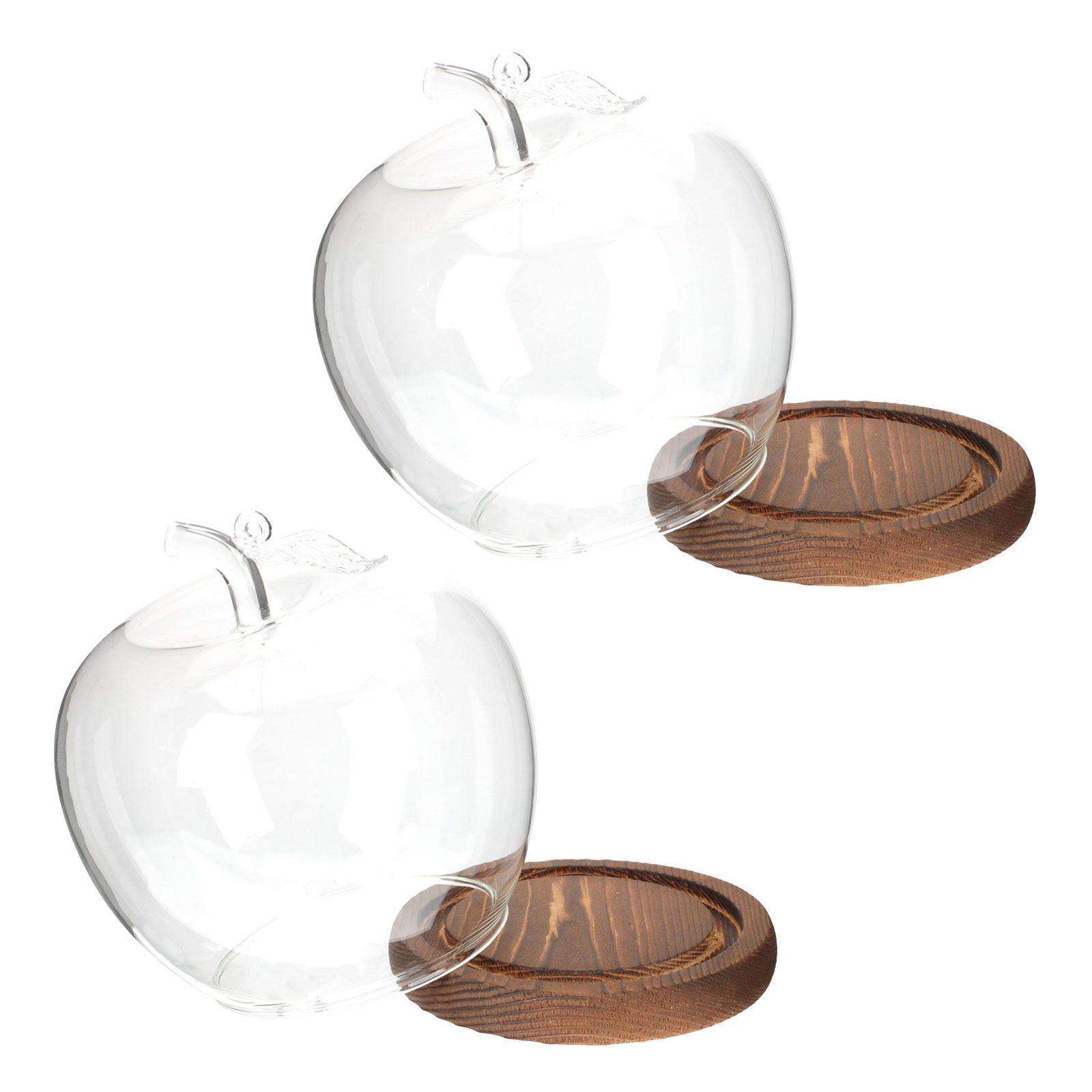 2個セット ガラス製クローシェドーム 木製ベース付き 透明デ - Plastic Dome Clear のレビューと価格