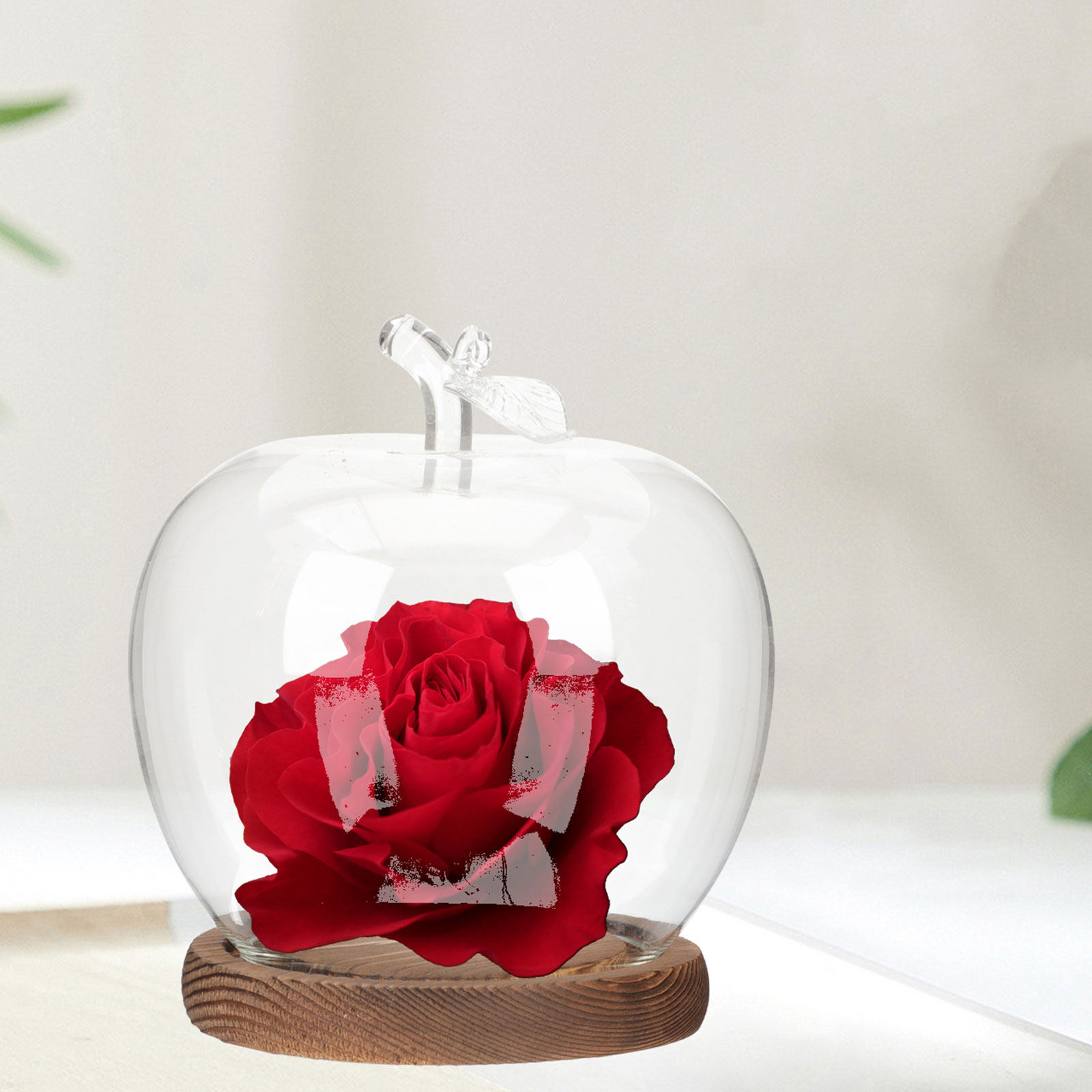 2個セット ガラス製クローシェドーム 木製ベース付き 透明デ - Plastic Dome Clear のレビューと価格